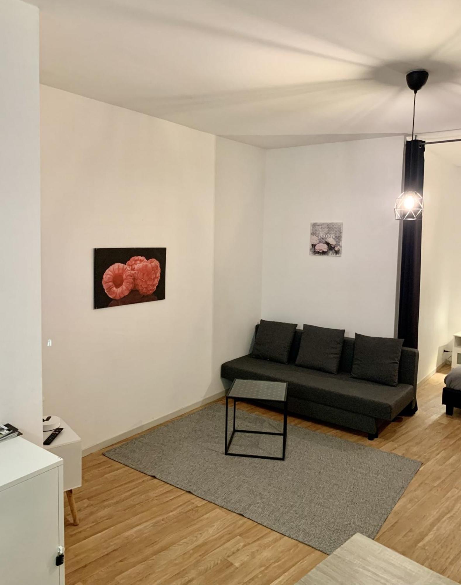 Studio Cosy - Hypercentre - Calme - 50M2 - Wi-Fi Graulhet Экстерьер фото